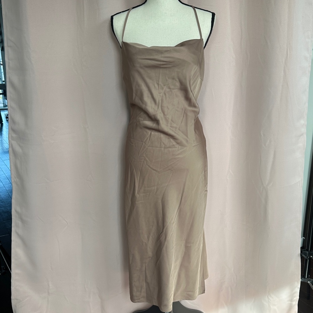 Express Blush Pink dress